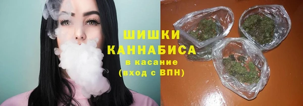 прущие крисы Белокуриха