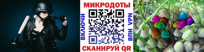 Псилоцибиновые грибы мицелий Белокуриха